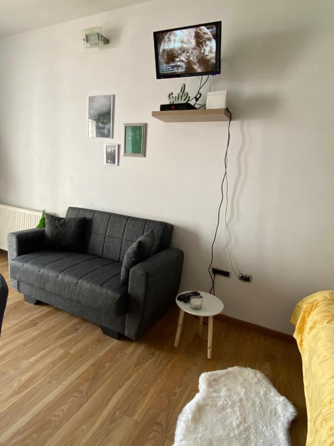 Green Studio 티미쇼아라 외부 사진